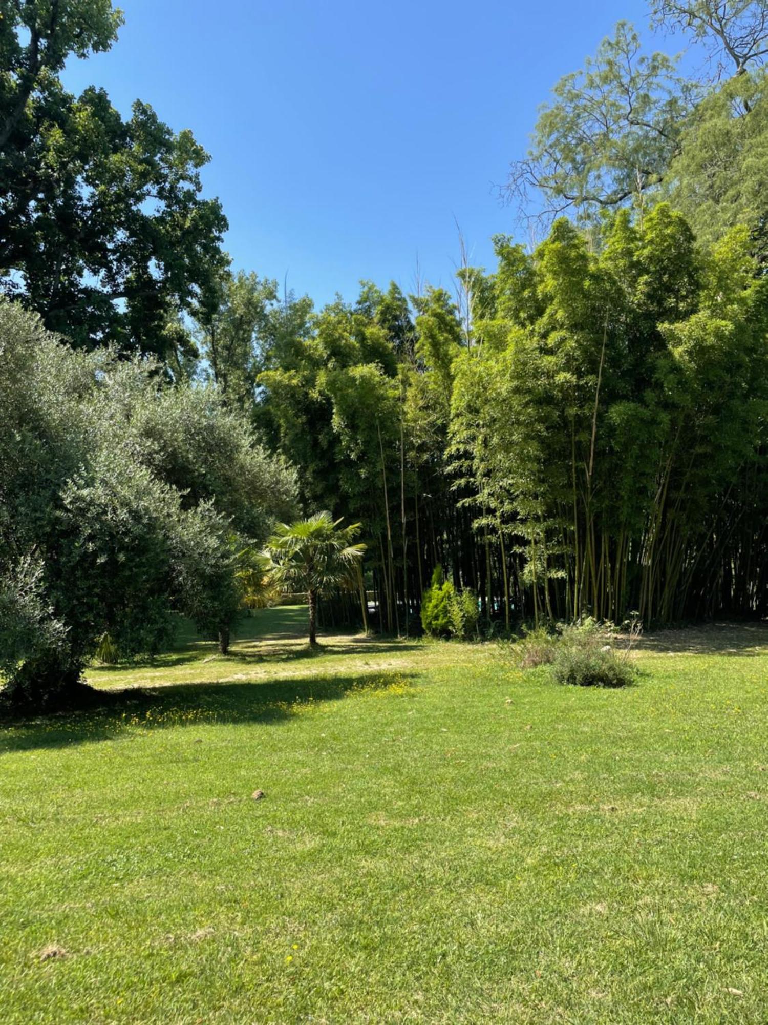 La Rebiere D'Or, B&B Et Gite Mouleydier Exteriör bild