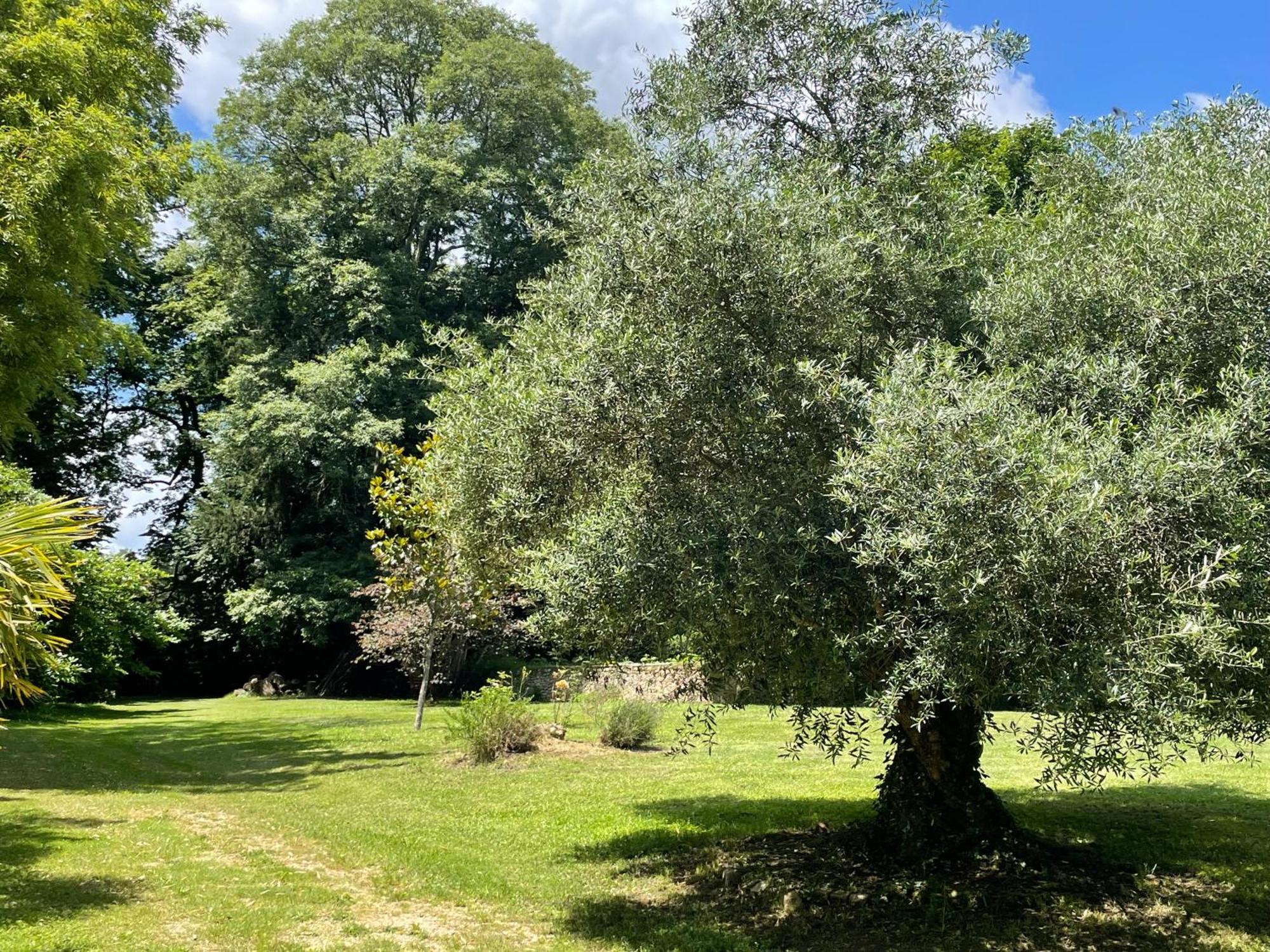La Rebiere D'Or, B&B Et Gite Mouleydier Exteriör bild